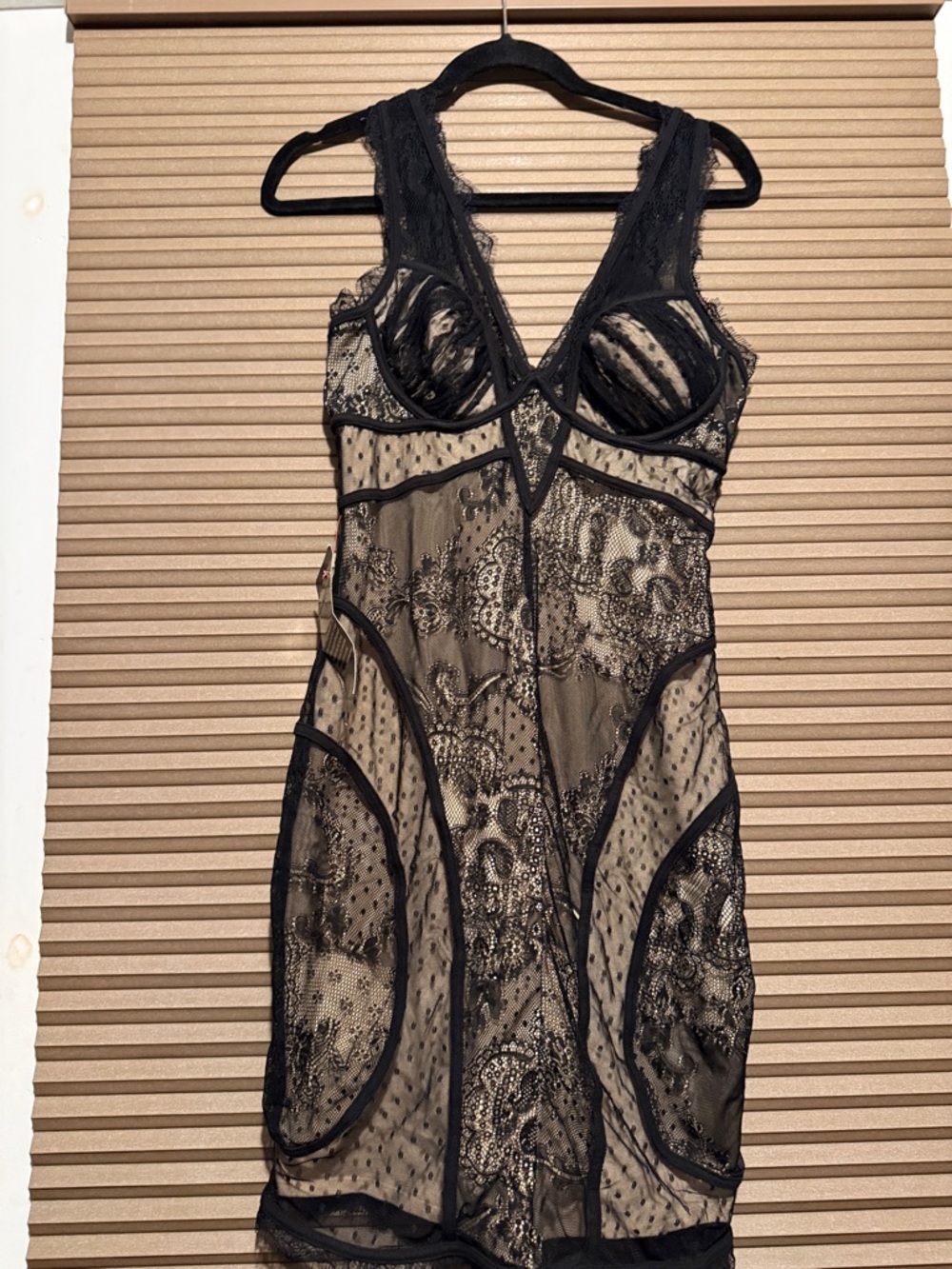 bebe Black Lace & Nude-Underlay Mini Dress